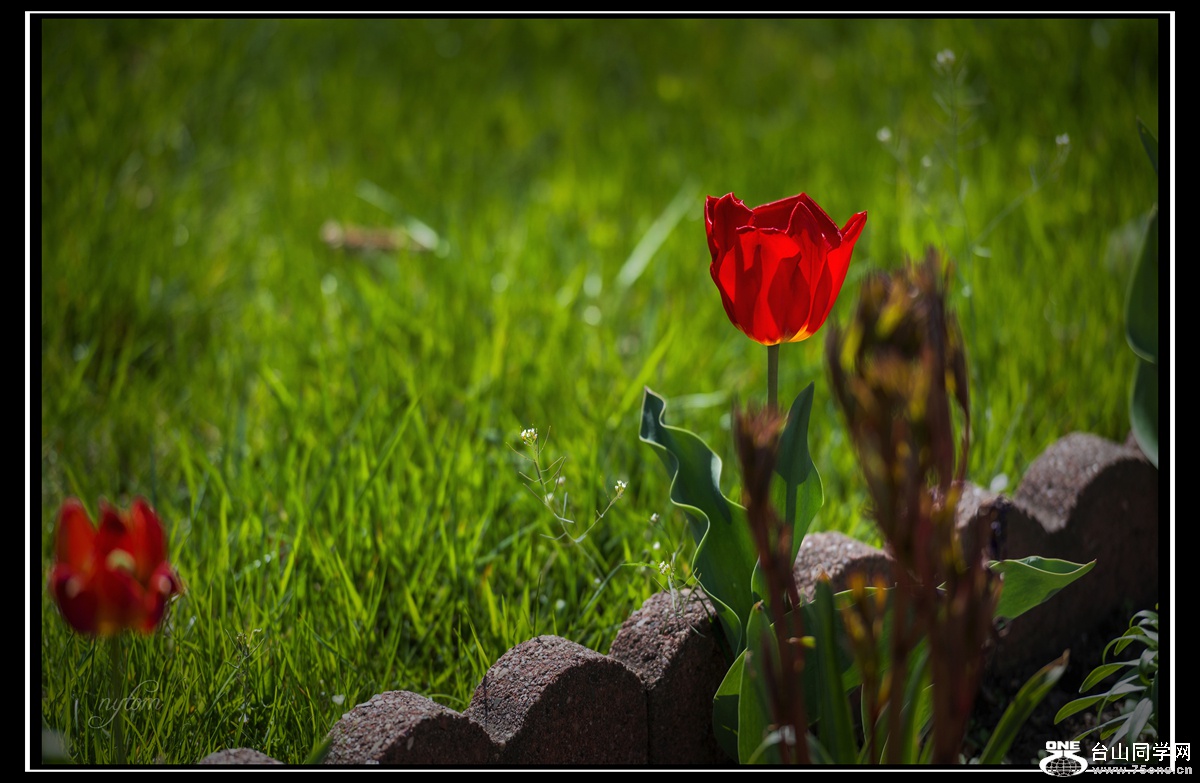 DSC_7358_.jpg