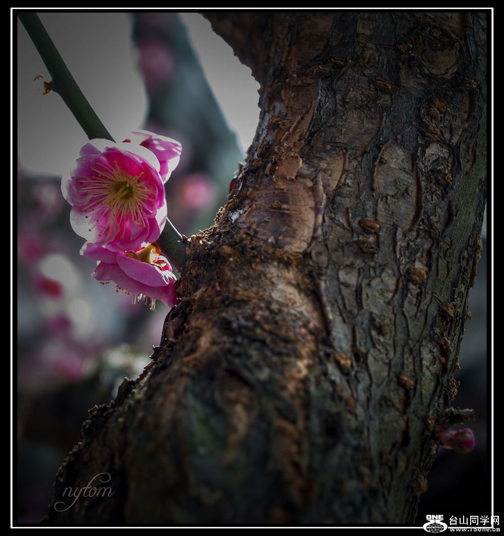 DSC_3415_.jpg