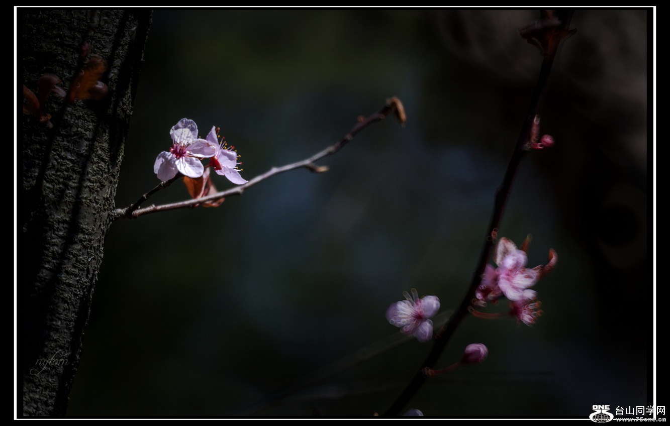 DSC_5673_.jpg