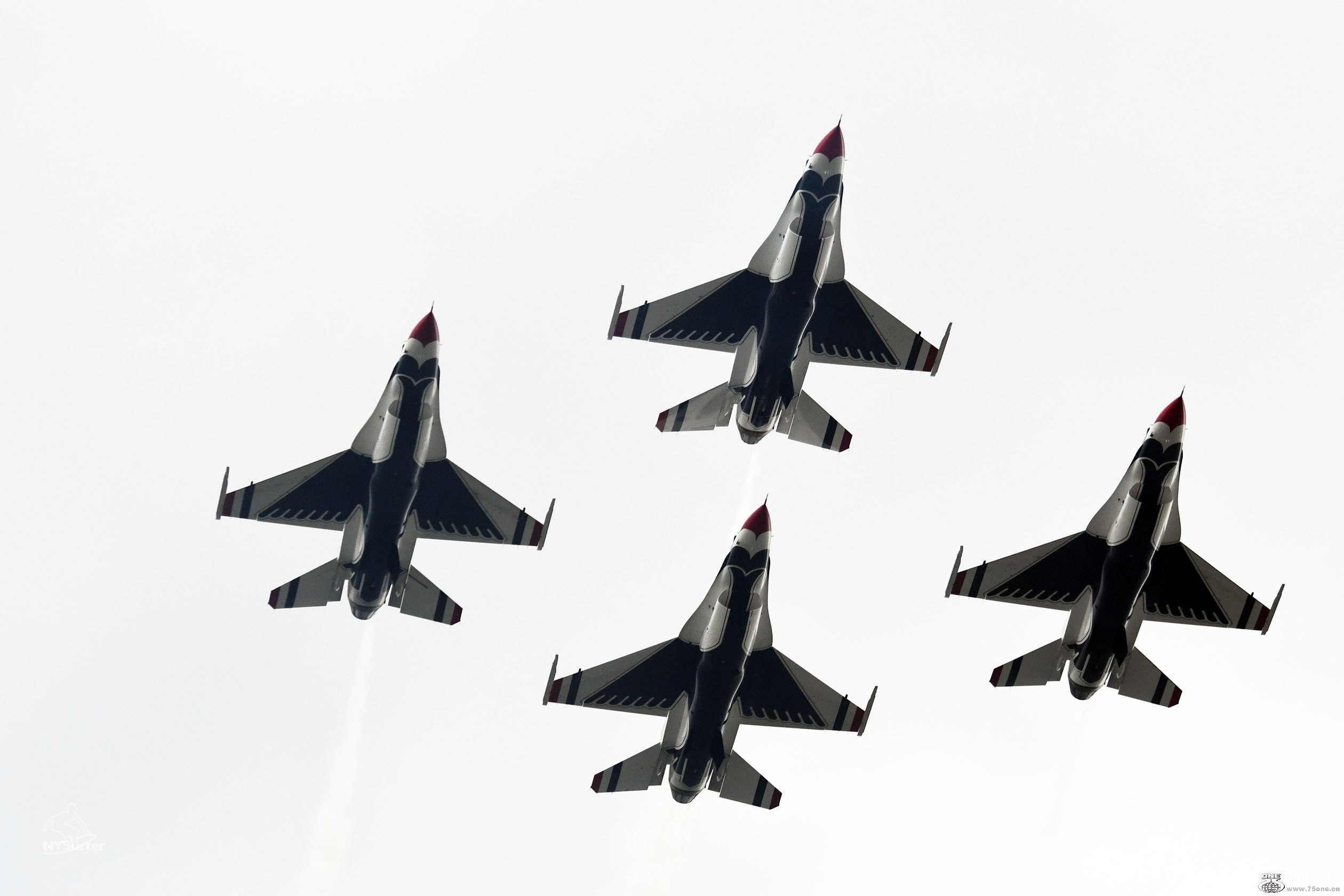 DSC_81218.jpg