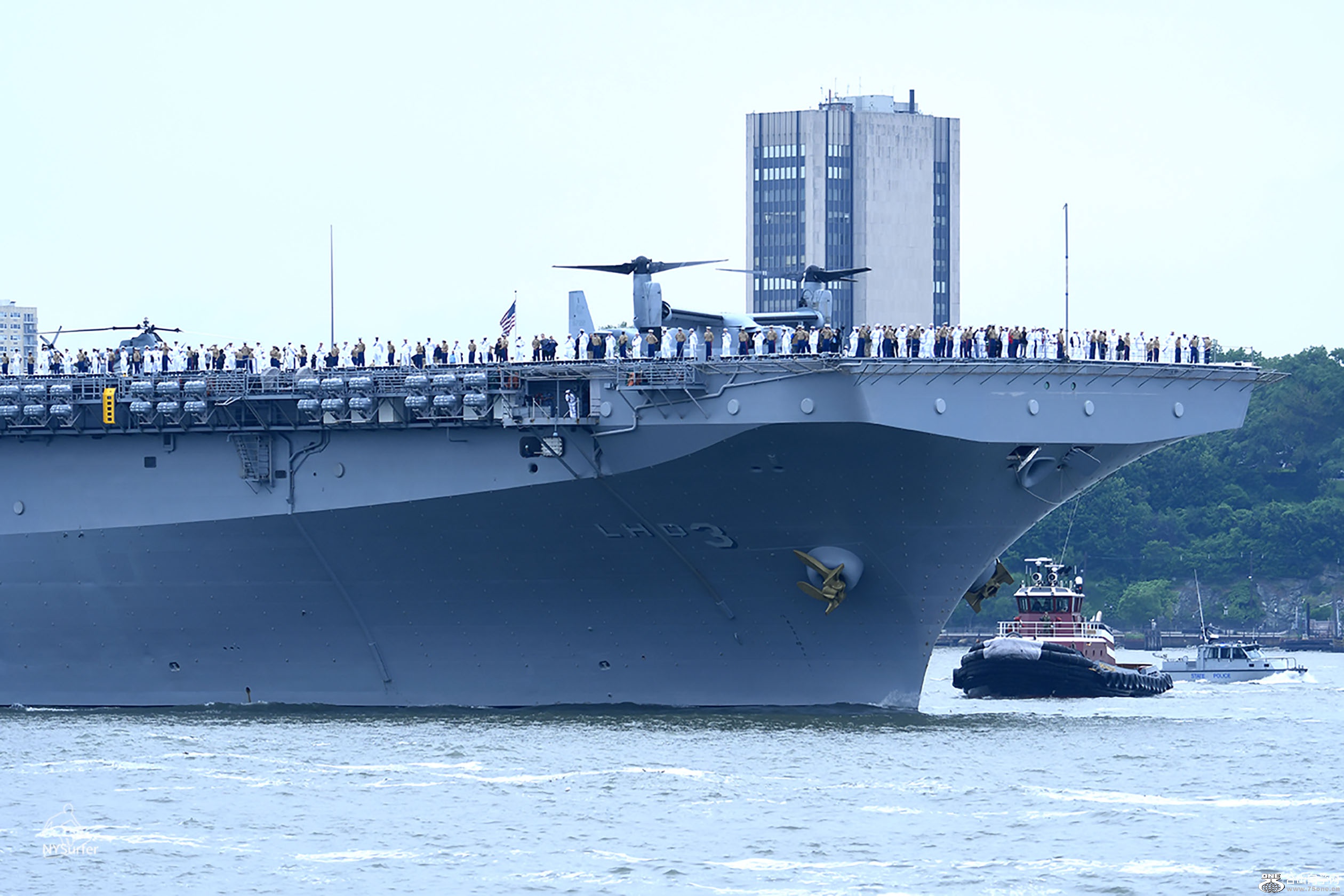 DSC_61451.jpg