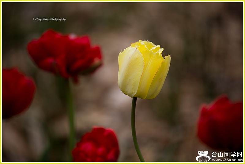 IMG_9991.jpg