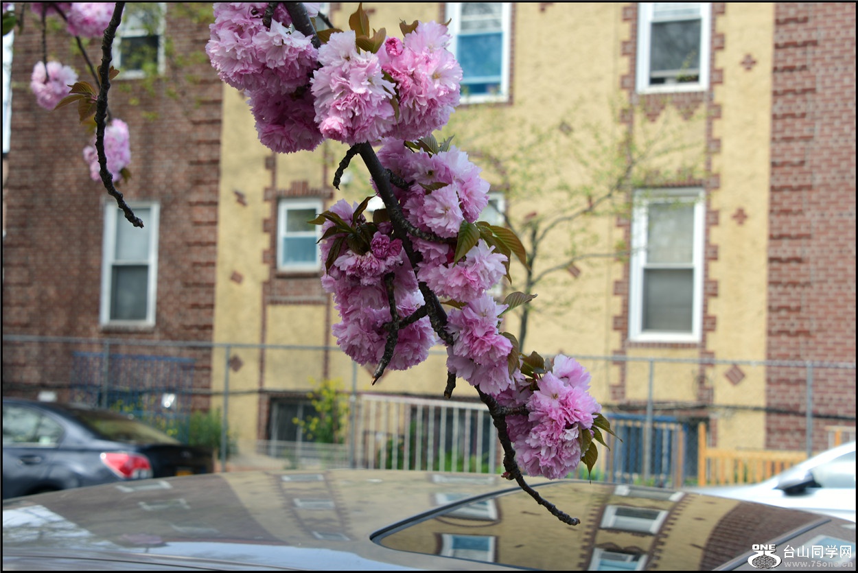 DSC_5864.jpg