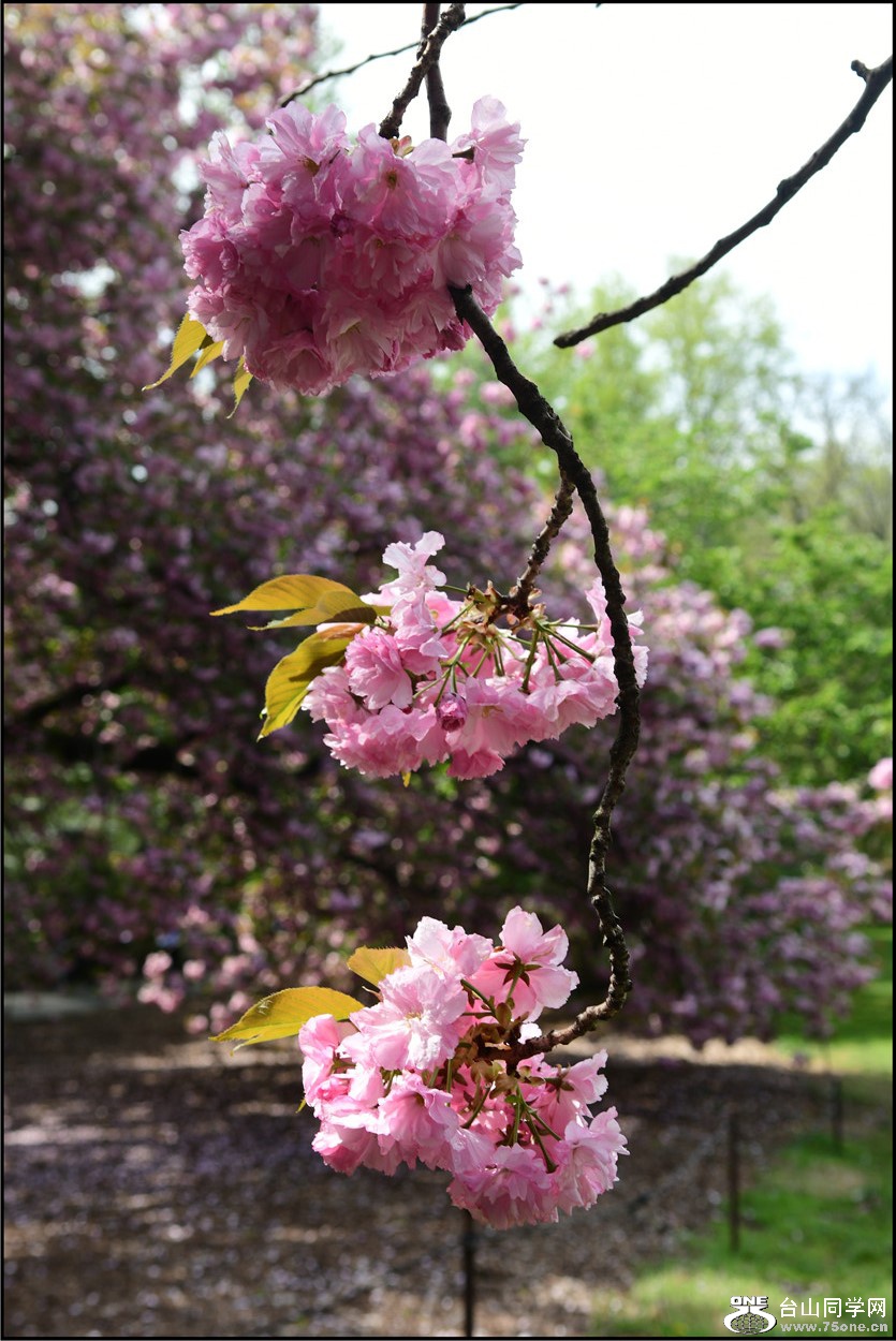 DSC_5911.jpg