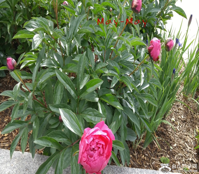 20170527_082332.jpg