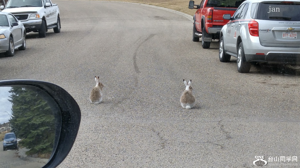 20170415_090252_HDR.jpg