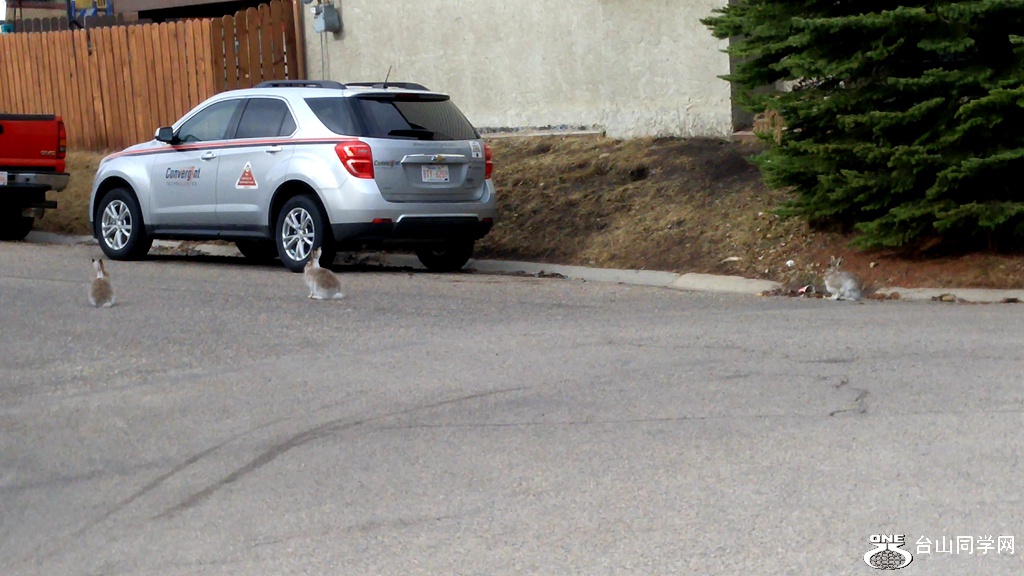 20170415_090444.jpg
