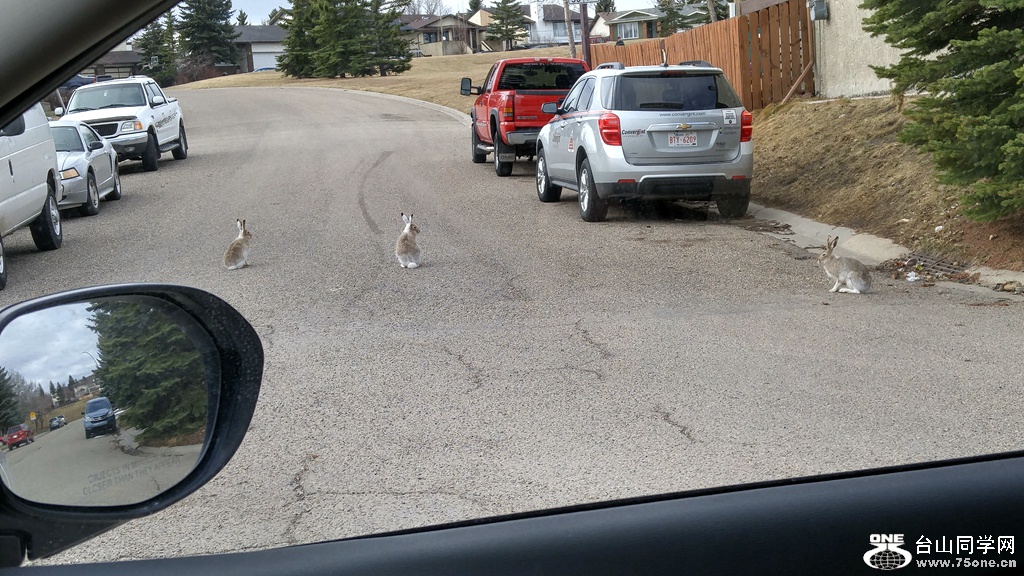 20170415_090305_HDR.jpg