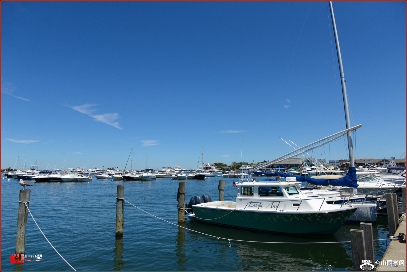 DSC_1358.jpg