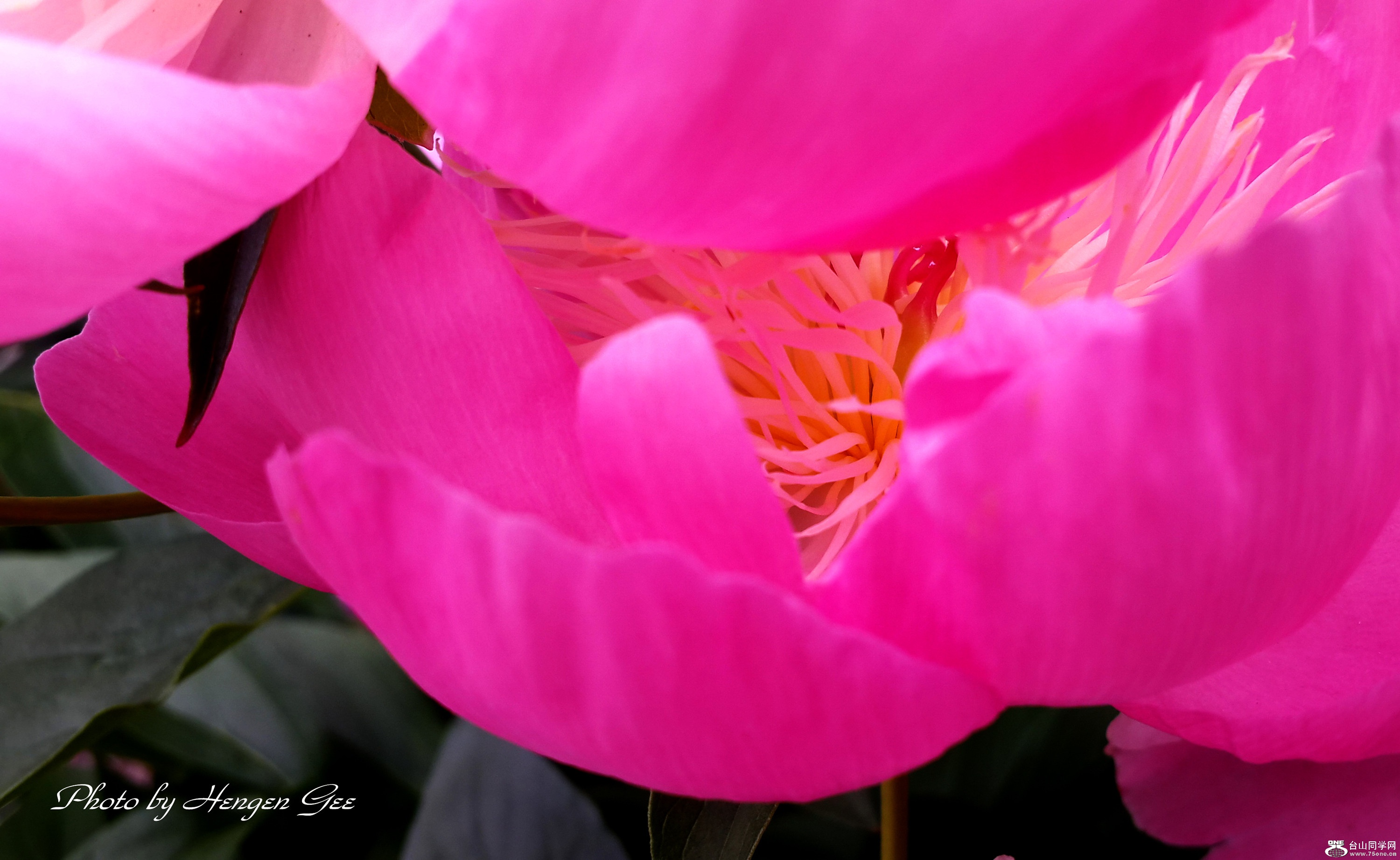 20170607_140552_.jpg