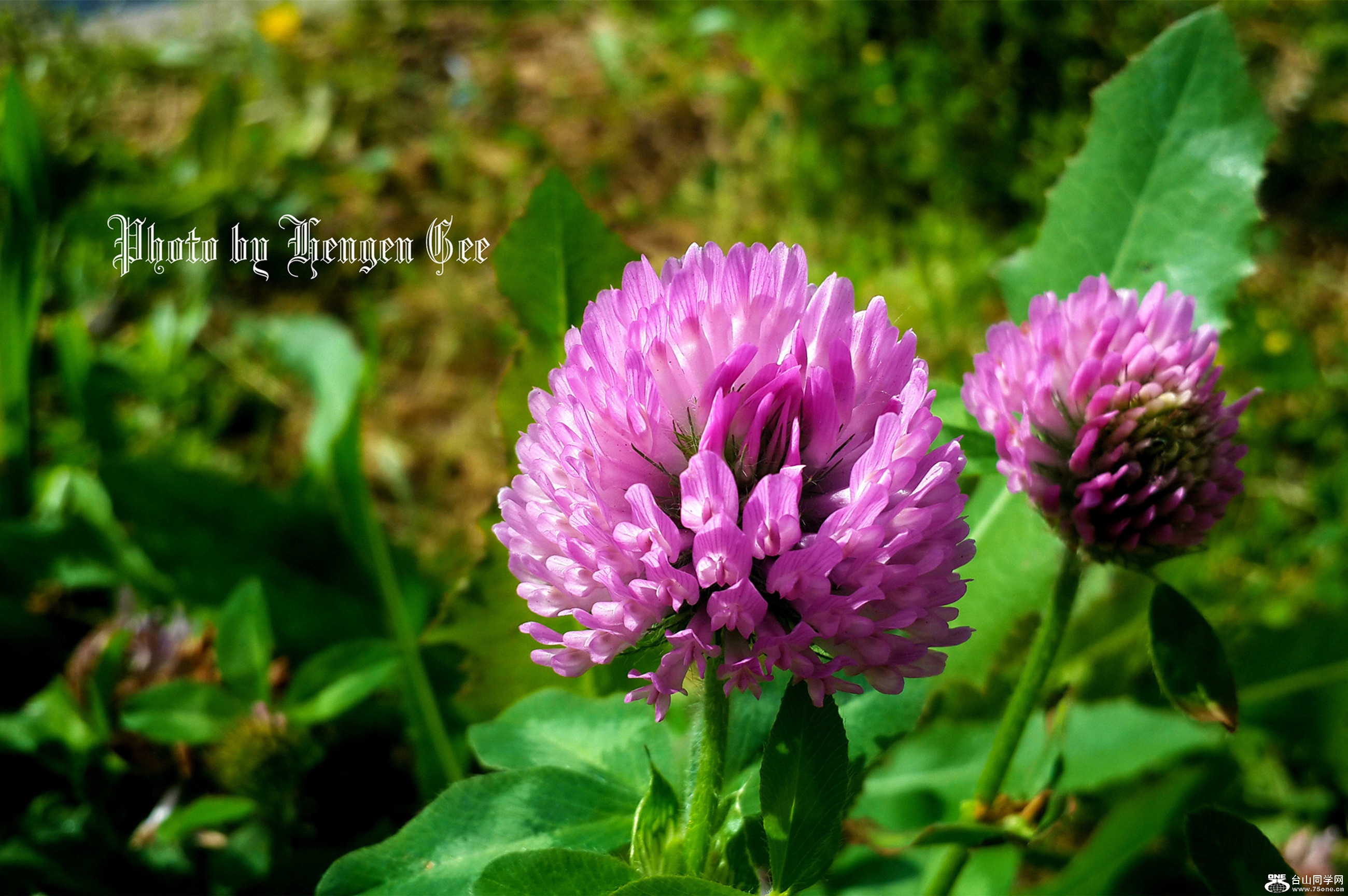 20170609_093417.jpg