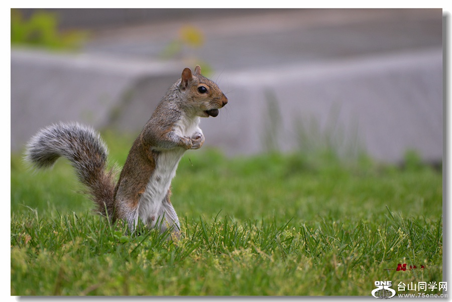 DSC_8368_.jpg