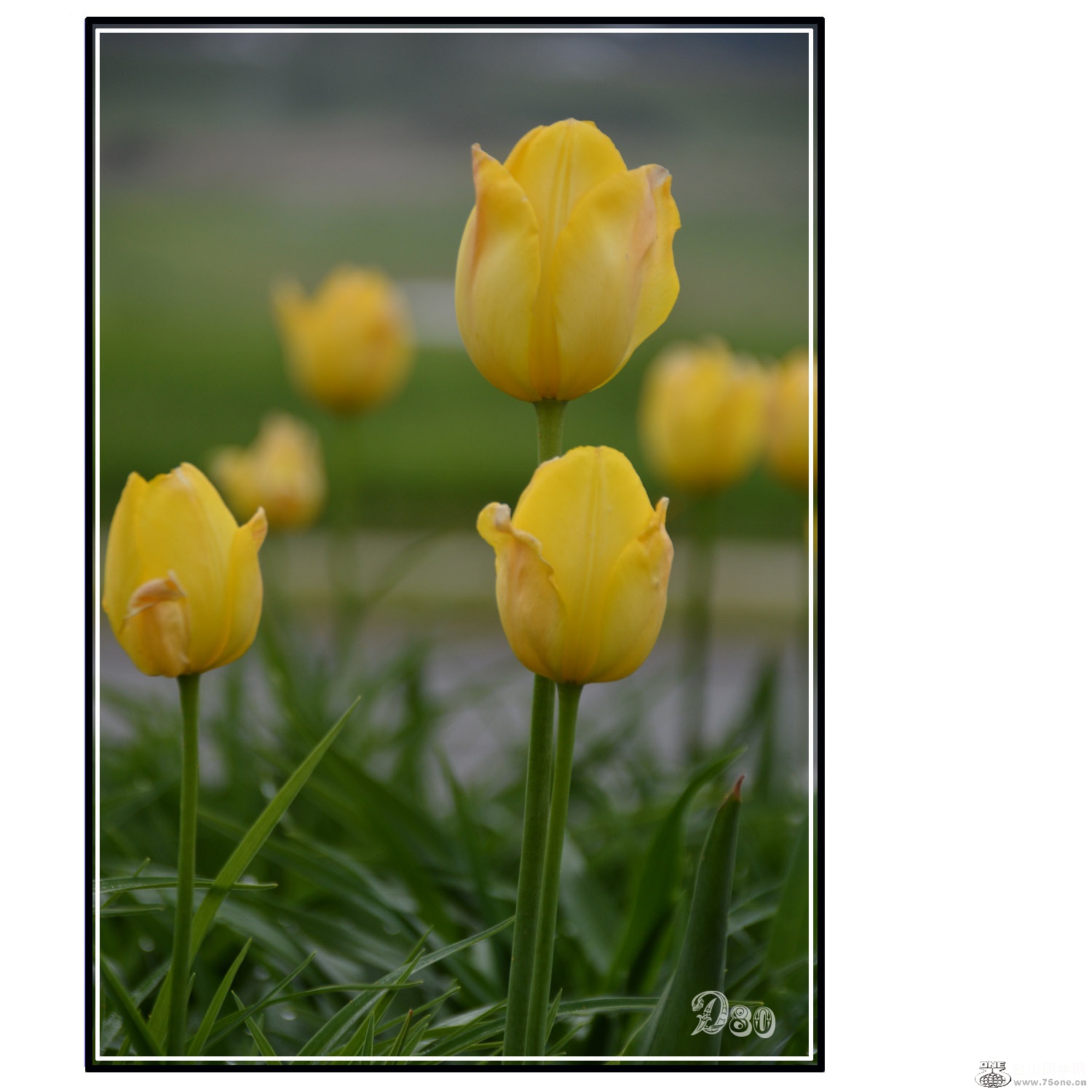 0260-2.jpg