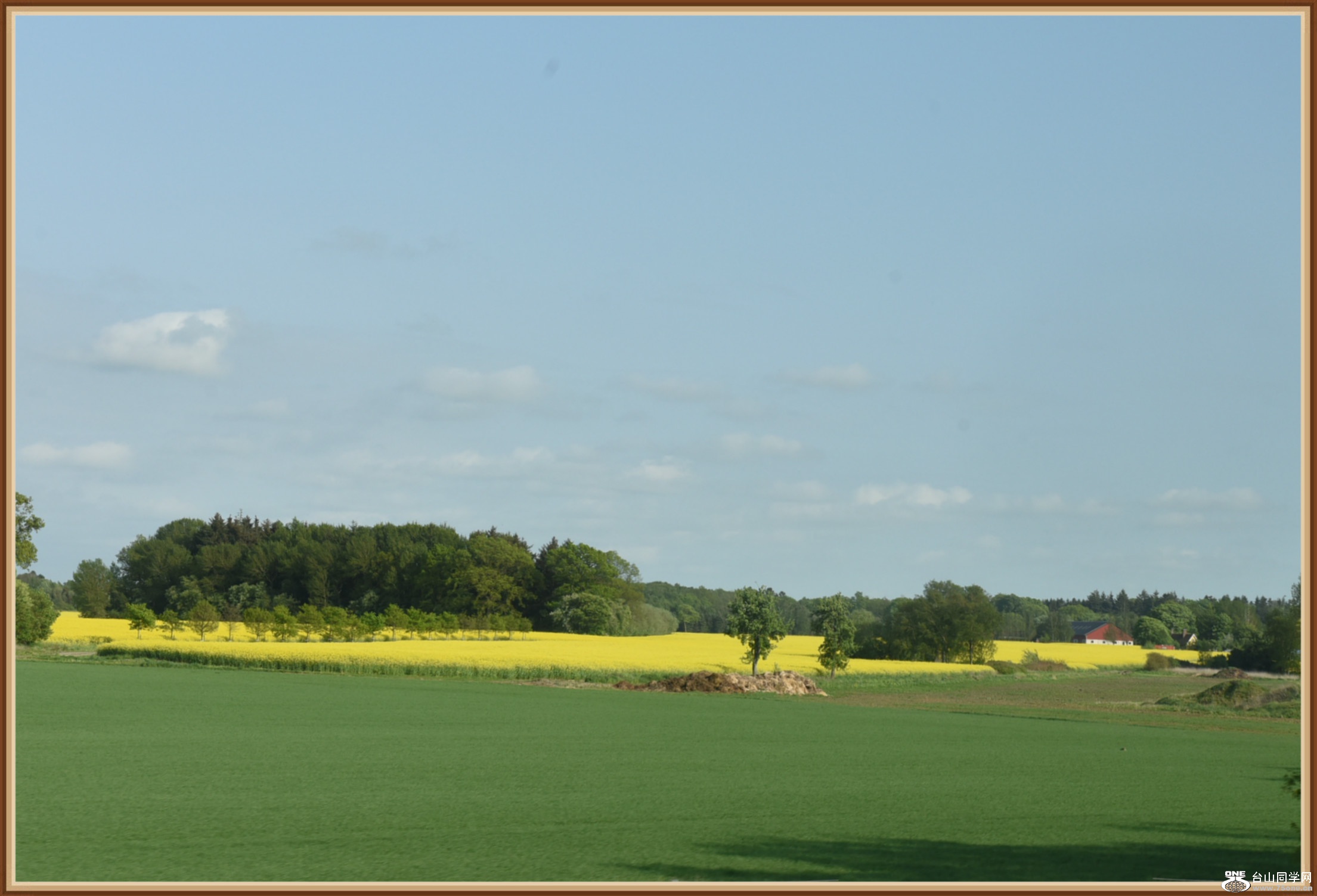 DSC_4046.jpg