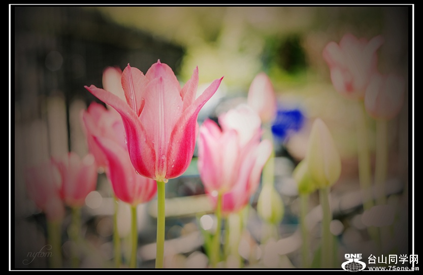 DSC_8686_.jpg