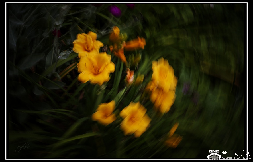 DSC_1062_.jpg
