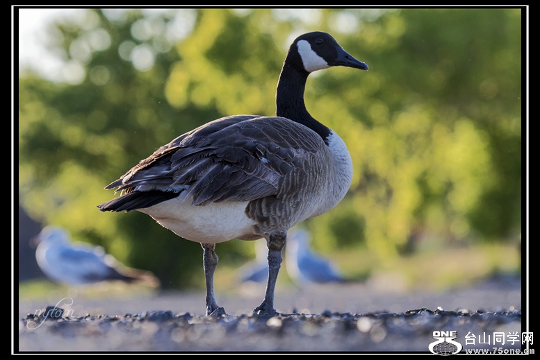 DSC_6127_.jpg