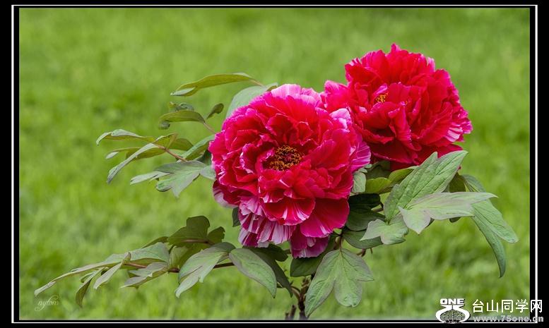 DSC_5068_.jpg