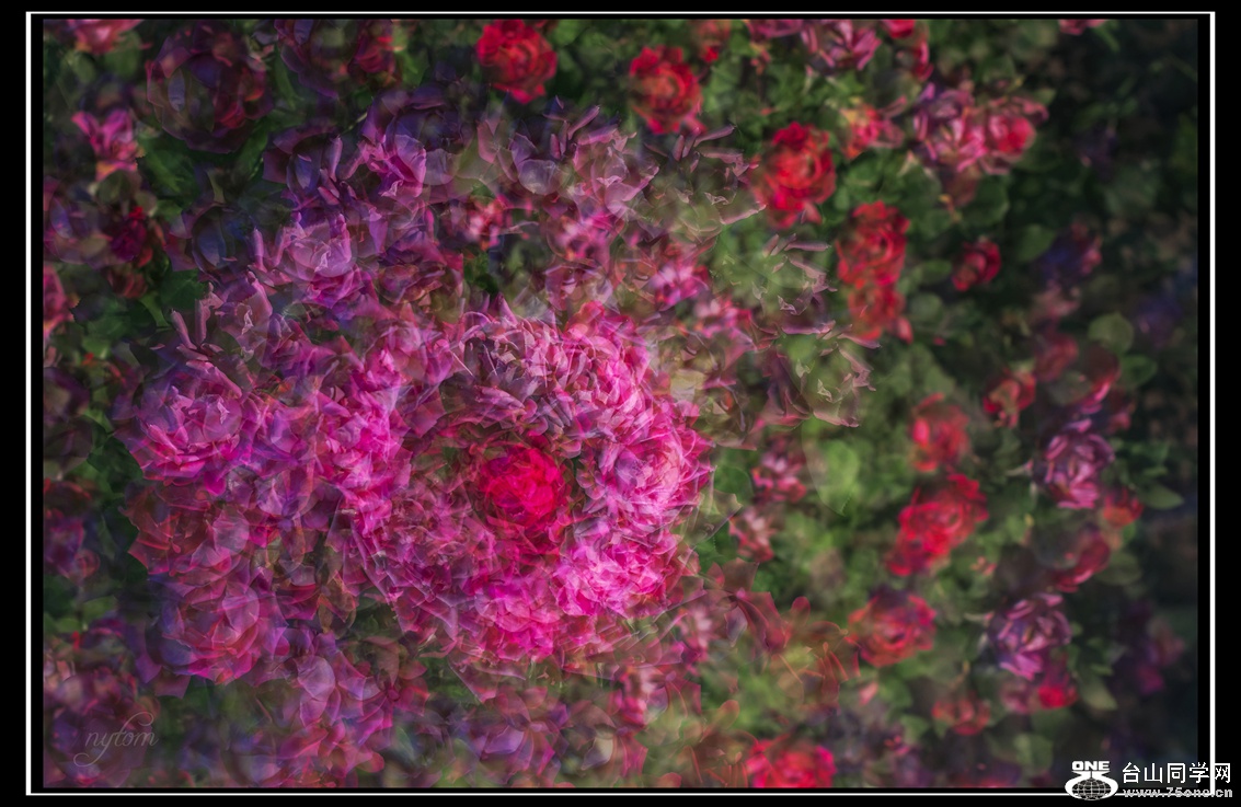 DSC_6121_.jpg