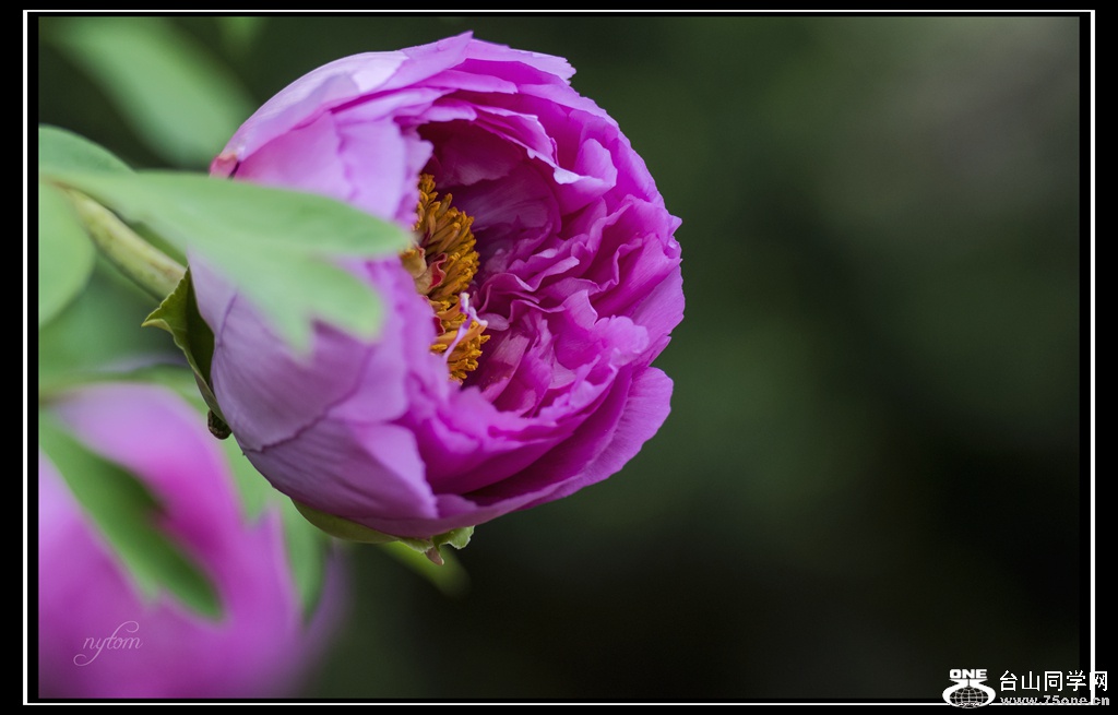 DSC_5032._.jpg