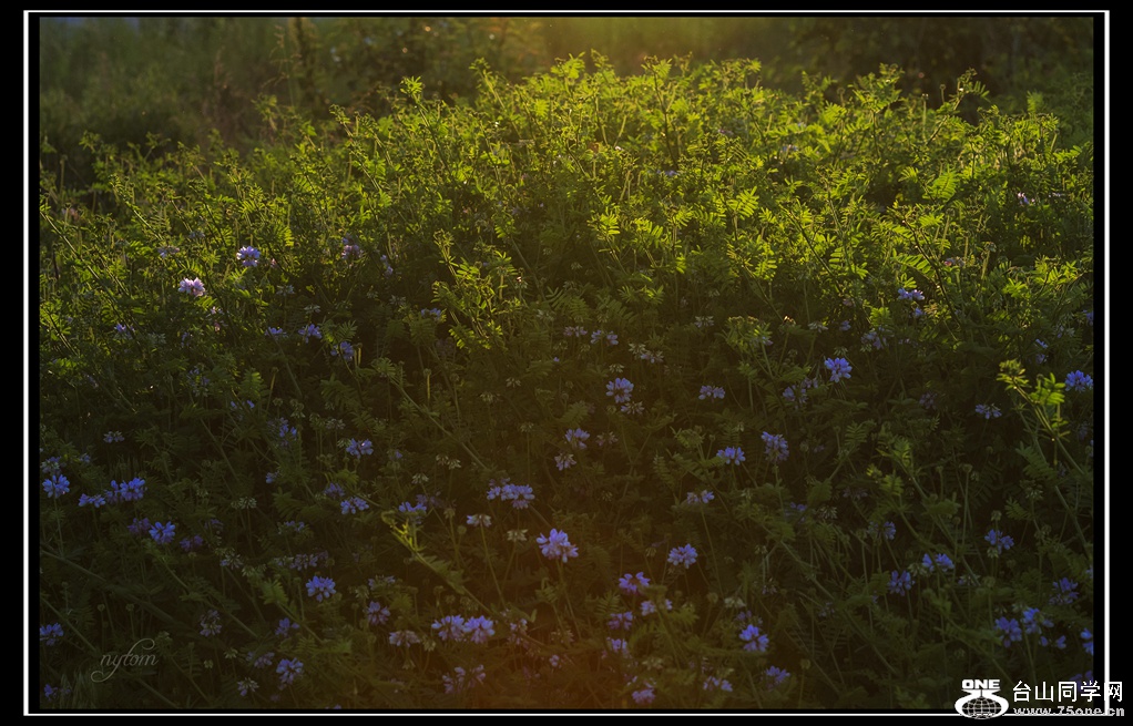 DSC_6266_.jpg