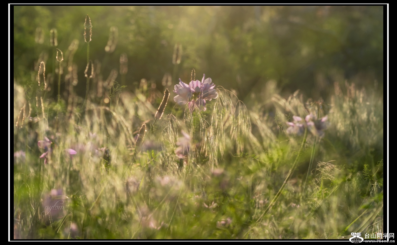 DSC_6230_.jpg