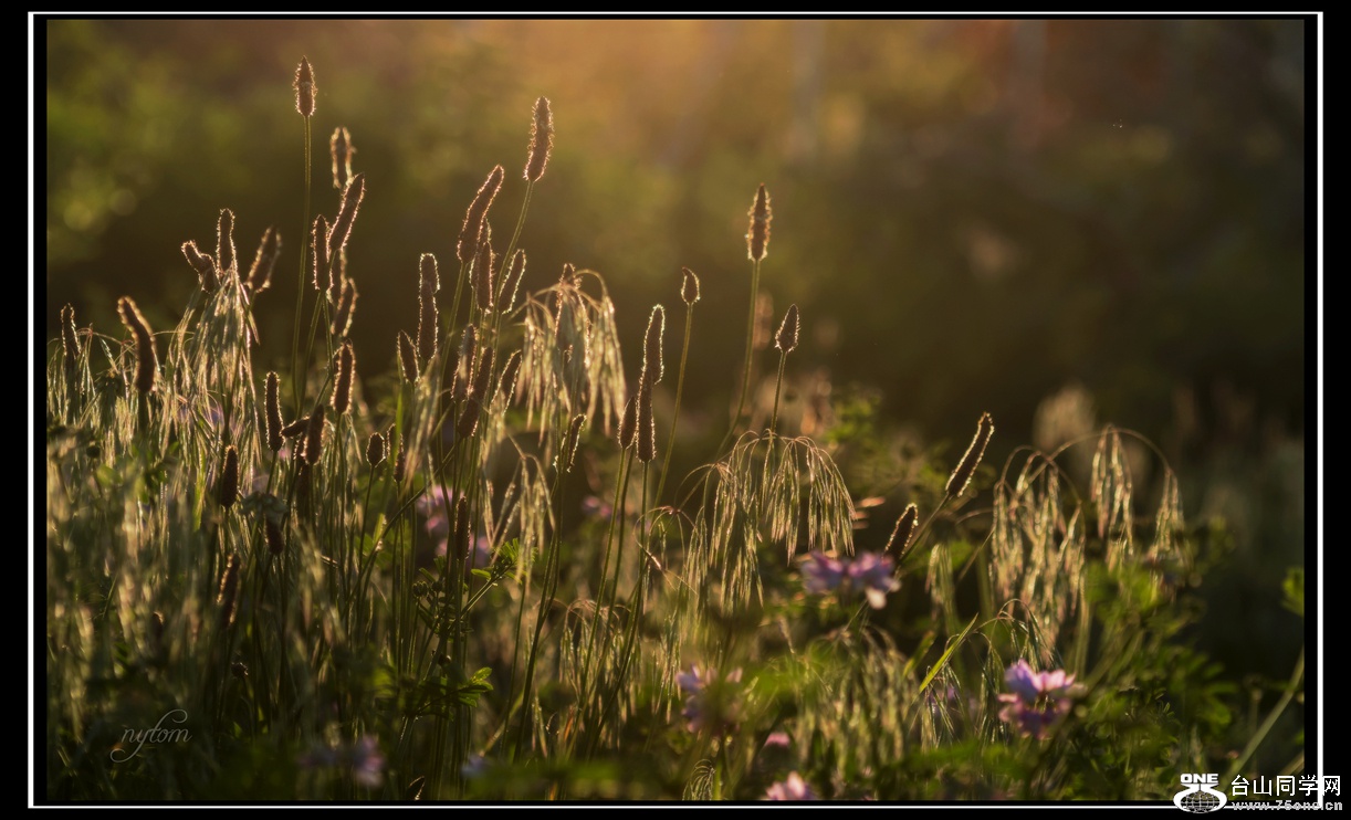 DSC_6234_.jpg