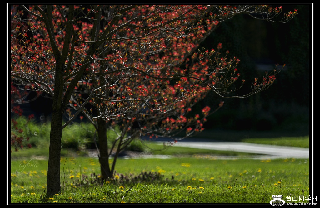 DSC_8028_.jpg