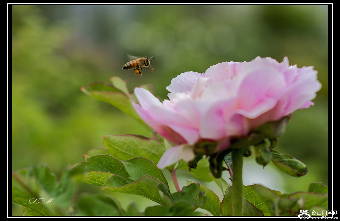 DSC_4706_.jpg