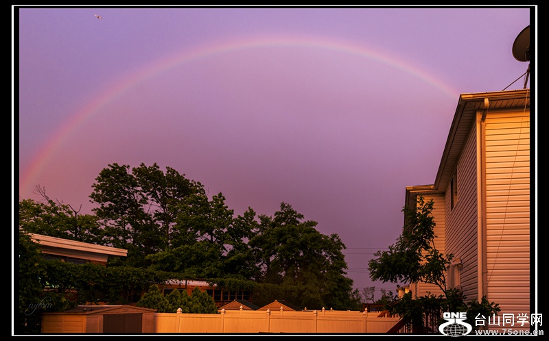 DSC_0187_.jpg