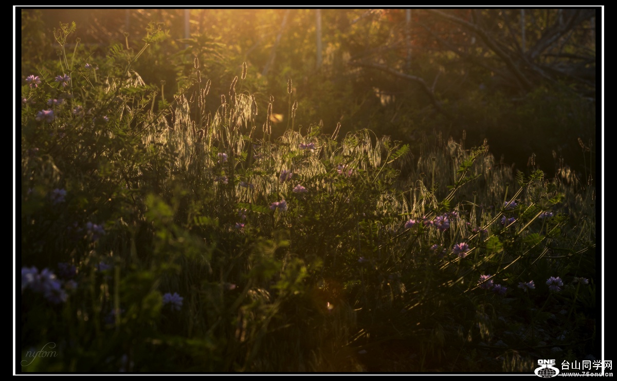 DSC_6244_.jpg