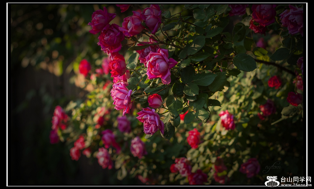 DSC_6112_.jpg