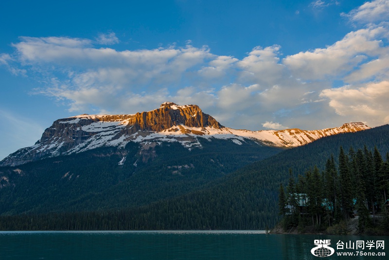 _DSC4720.jpg