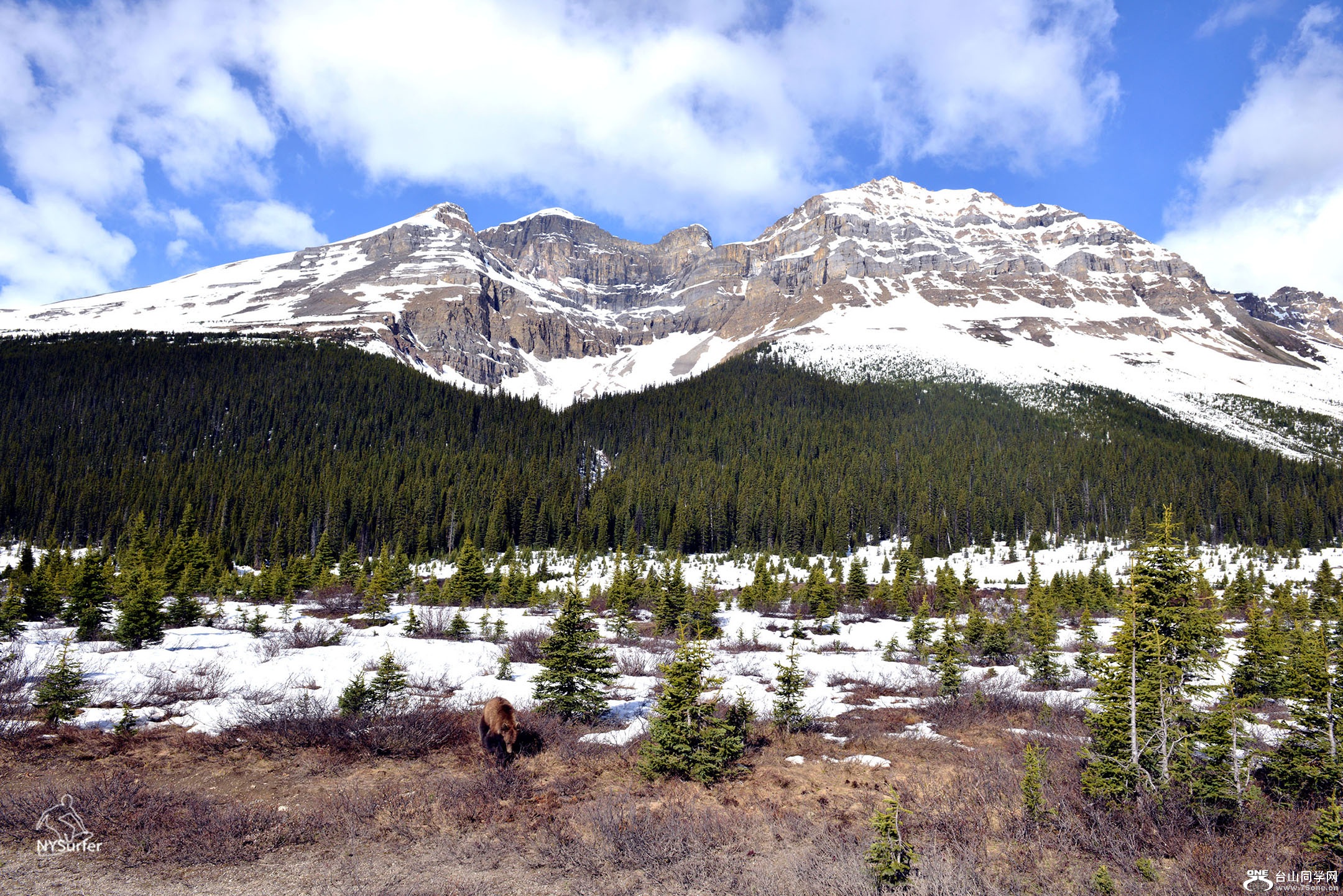 DSC_21992.jpg