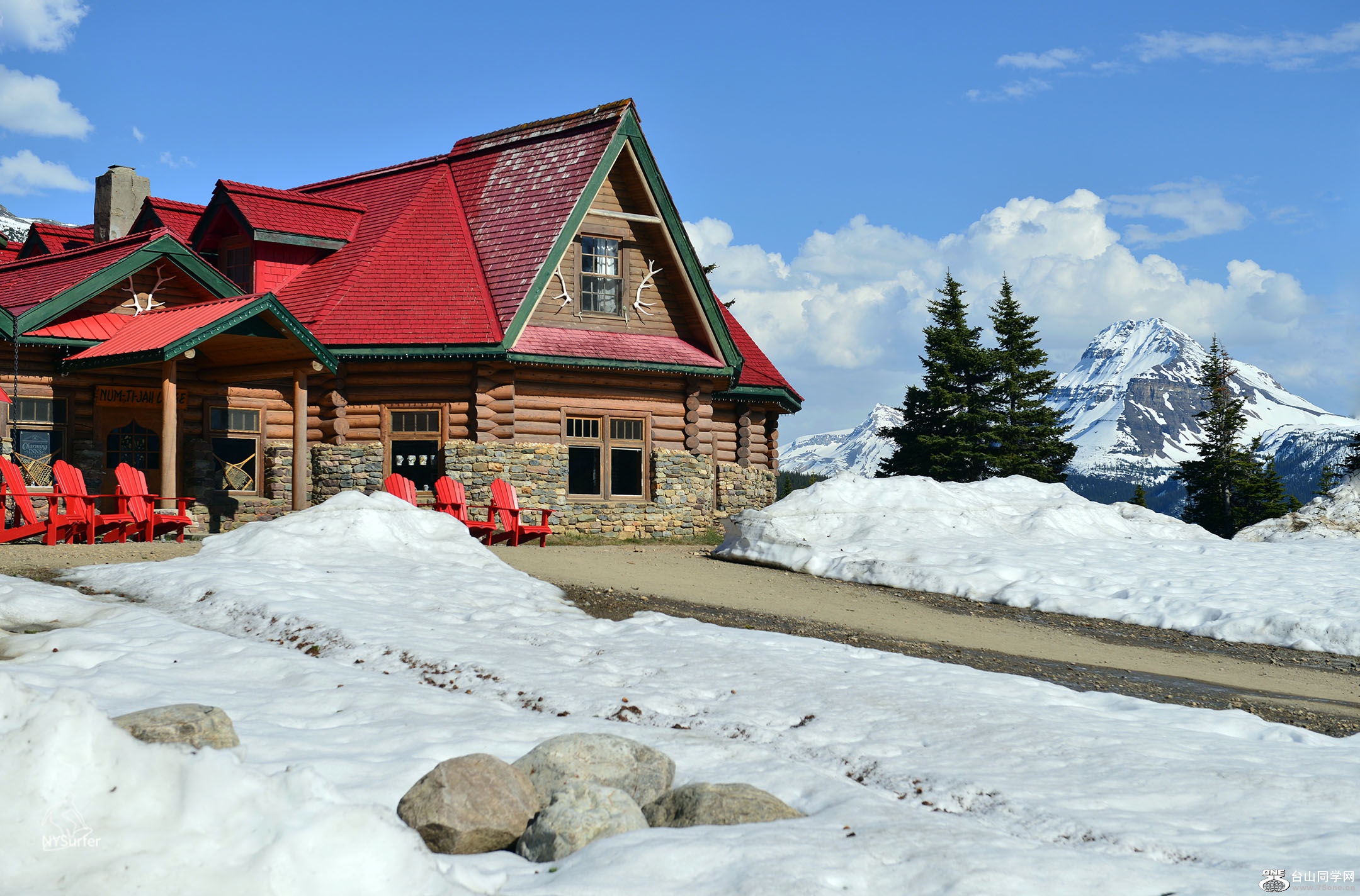 DSC_11033.jpg