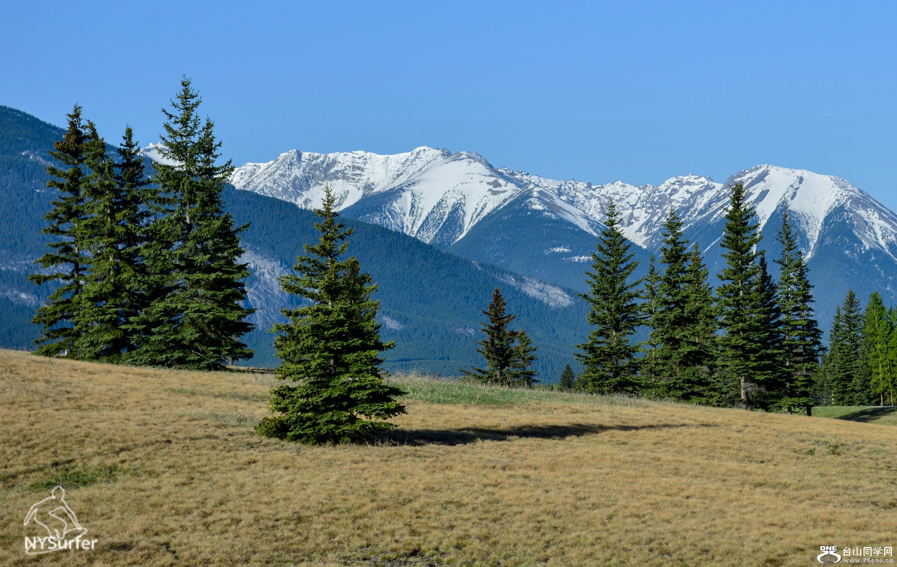 DSC_0692.jpg