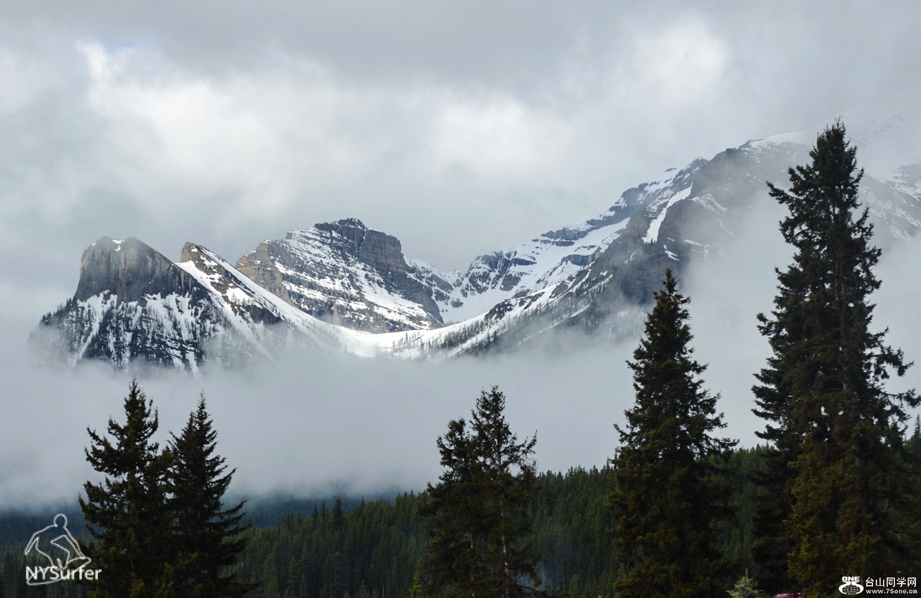 DSC_2555.jpg