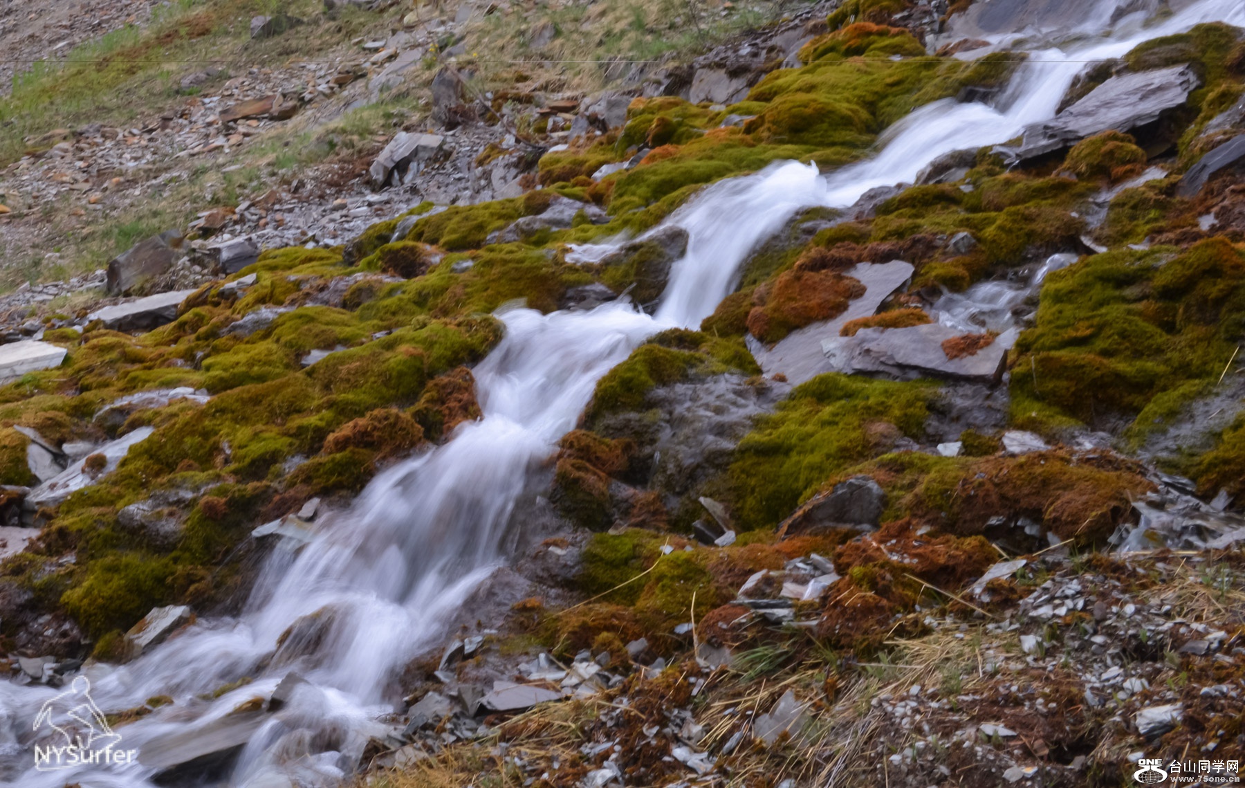 DSC_2149.jpg