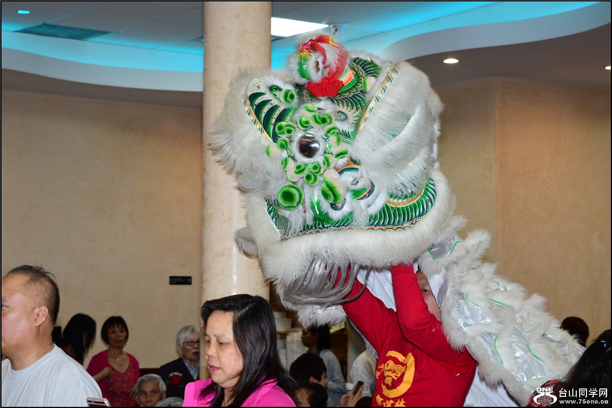 DSC_6862.jpg