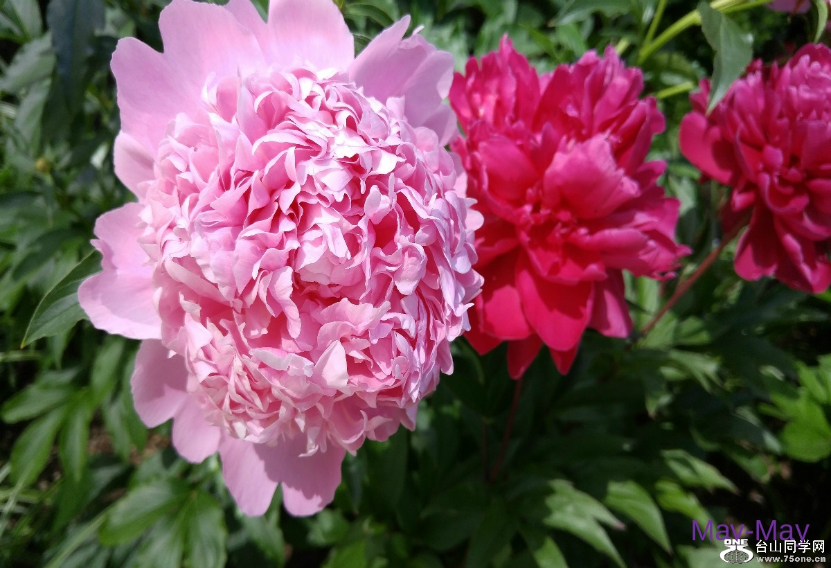 20170604_105835_HDR.jpg