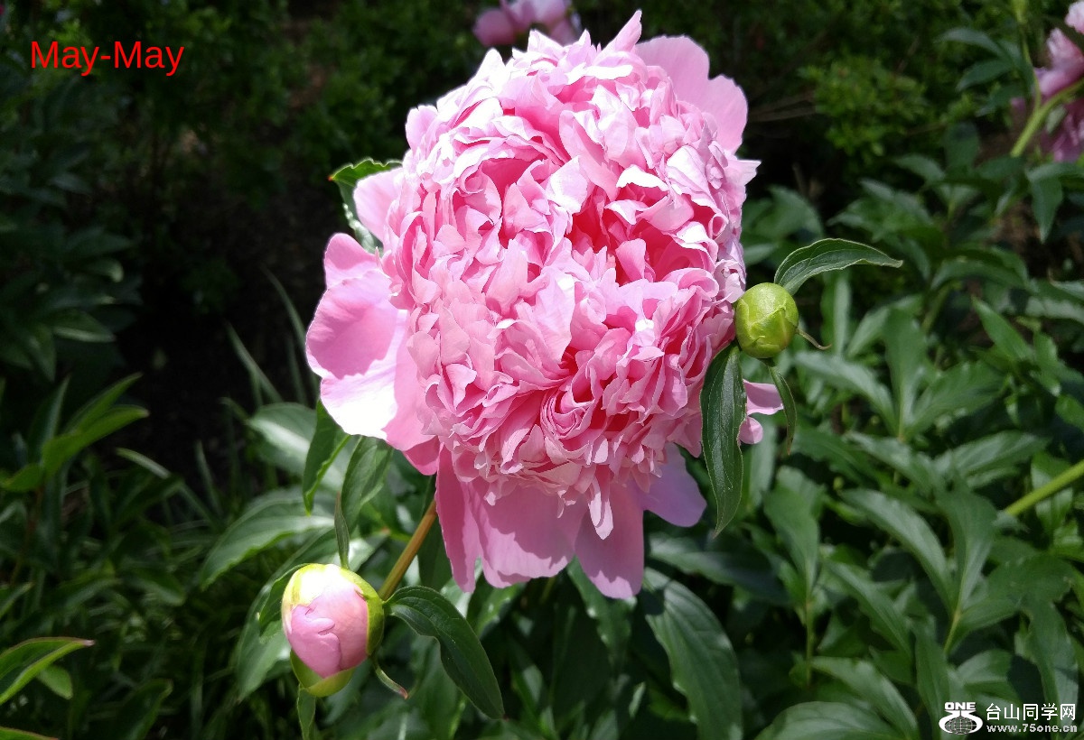 20170604_105844_HDR.jpg