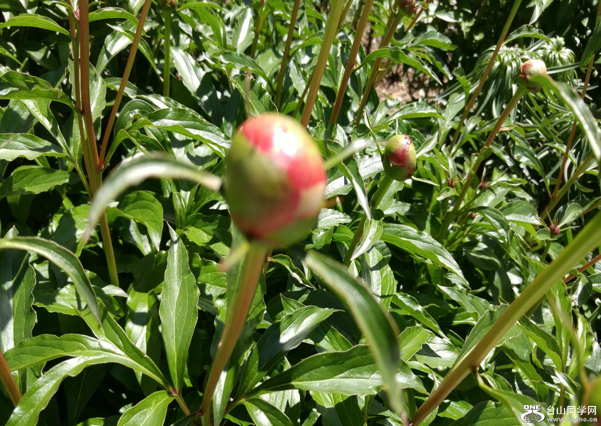 20170516_114019.jpg