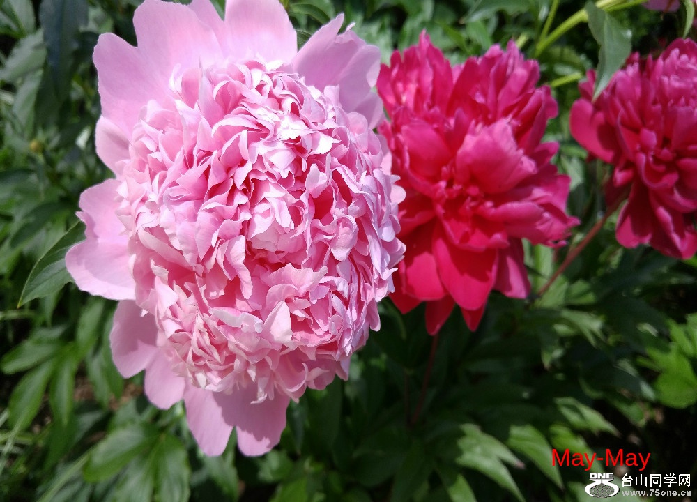 20170604_105835_HDR.jpg