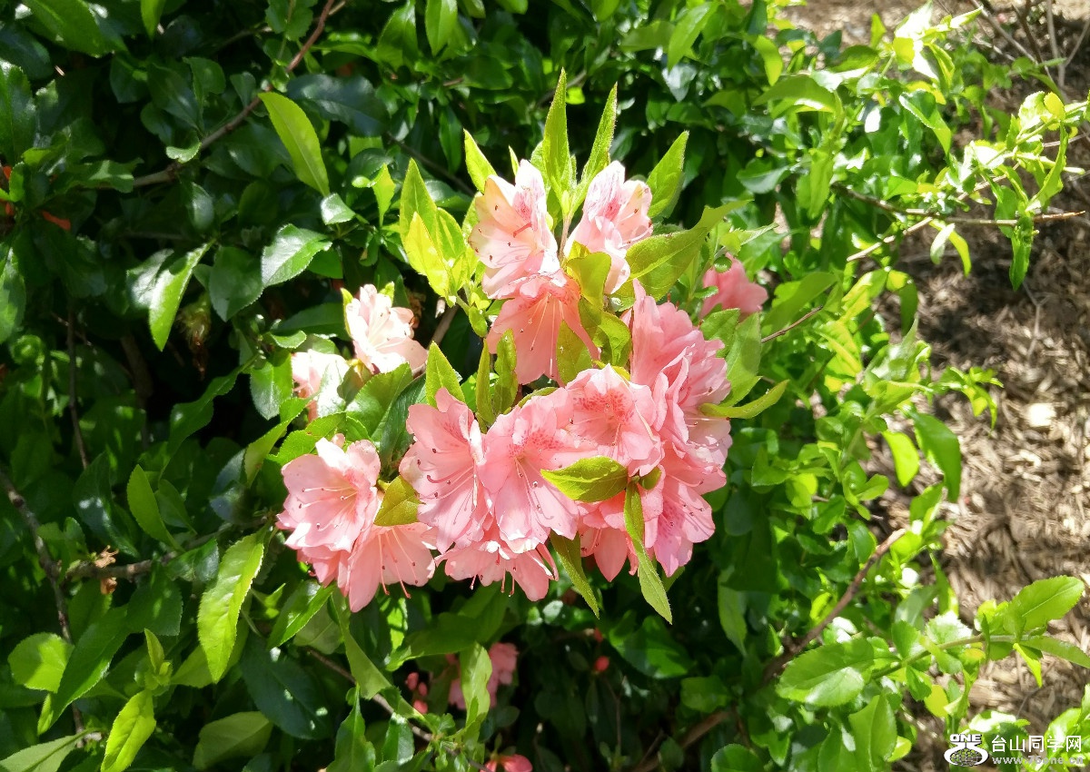 20170516_113941_HDR.jpg