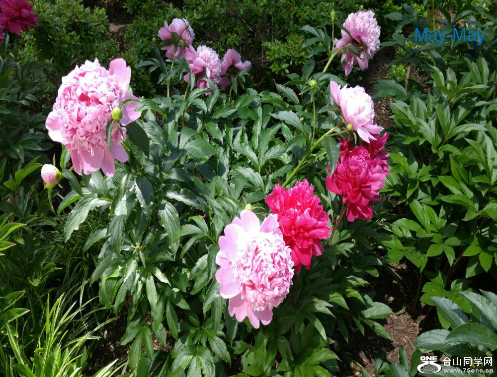20170604_105825.jpg