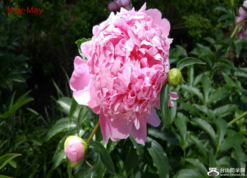 20170604_105844_HDR.jpg