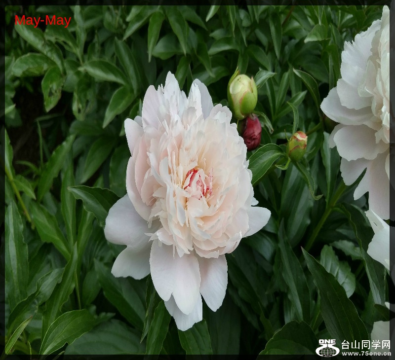 20170528_131924_HDR.jpg