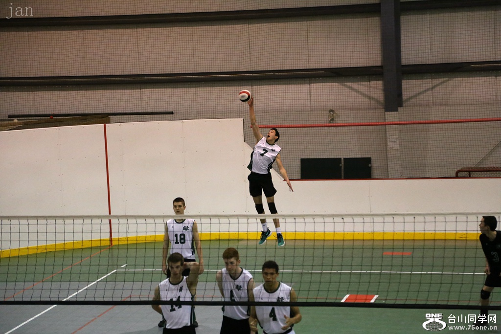 IMG_3884_.jpg
