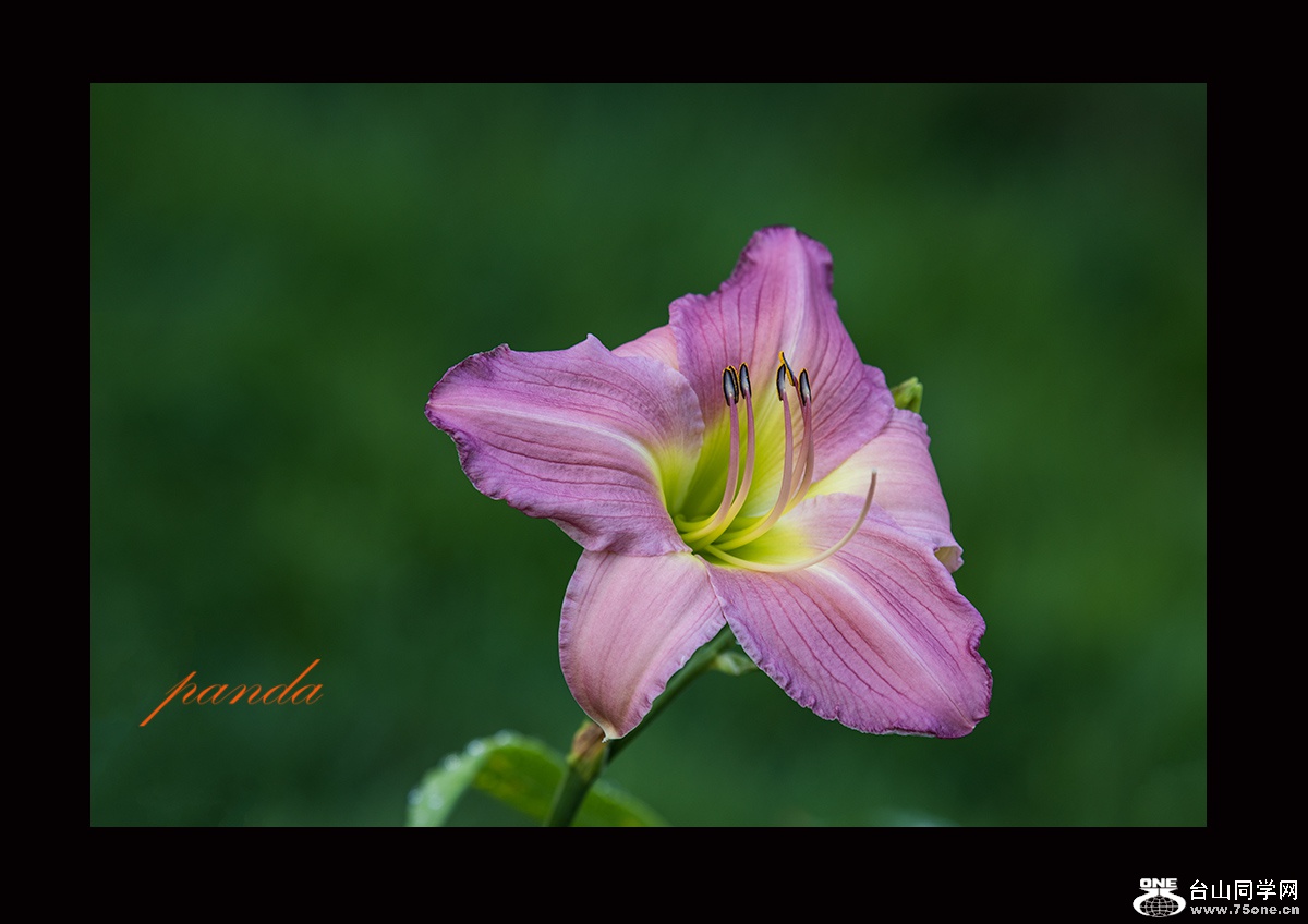 DSC_7546.JPG