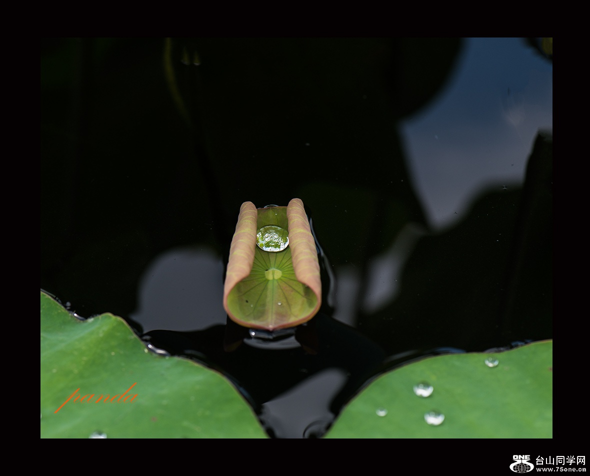 DSC_8055.JPG